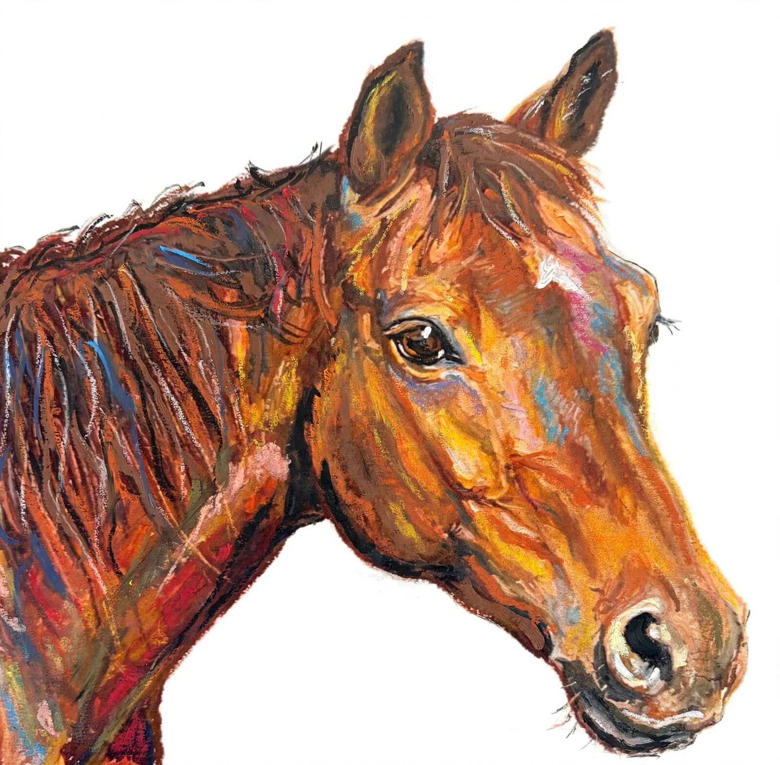 Realistic vibrant pastel horse portrait