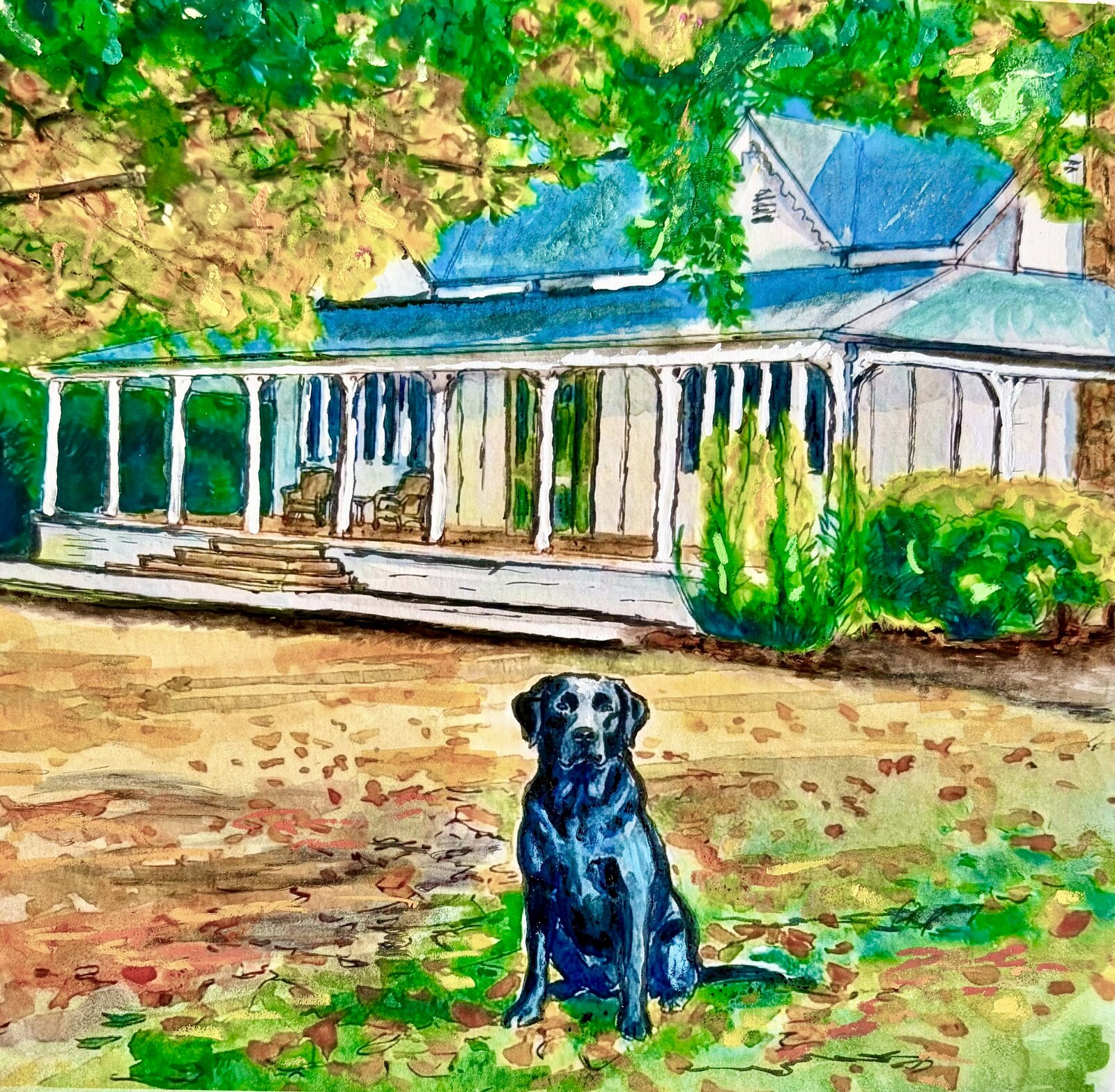 Bold whimsical black labrador portrait with verandah house