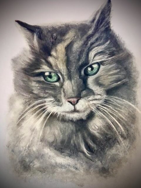 Detailed realistic pastel portrait of a fluffy grey cat with green eyes