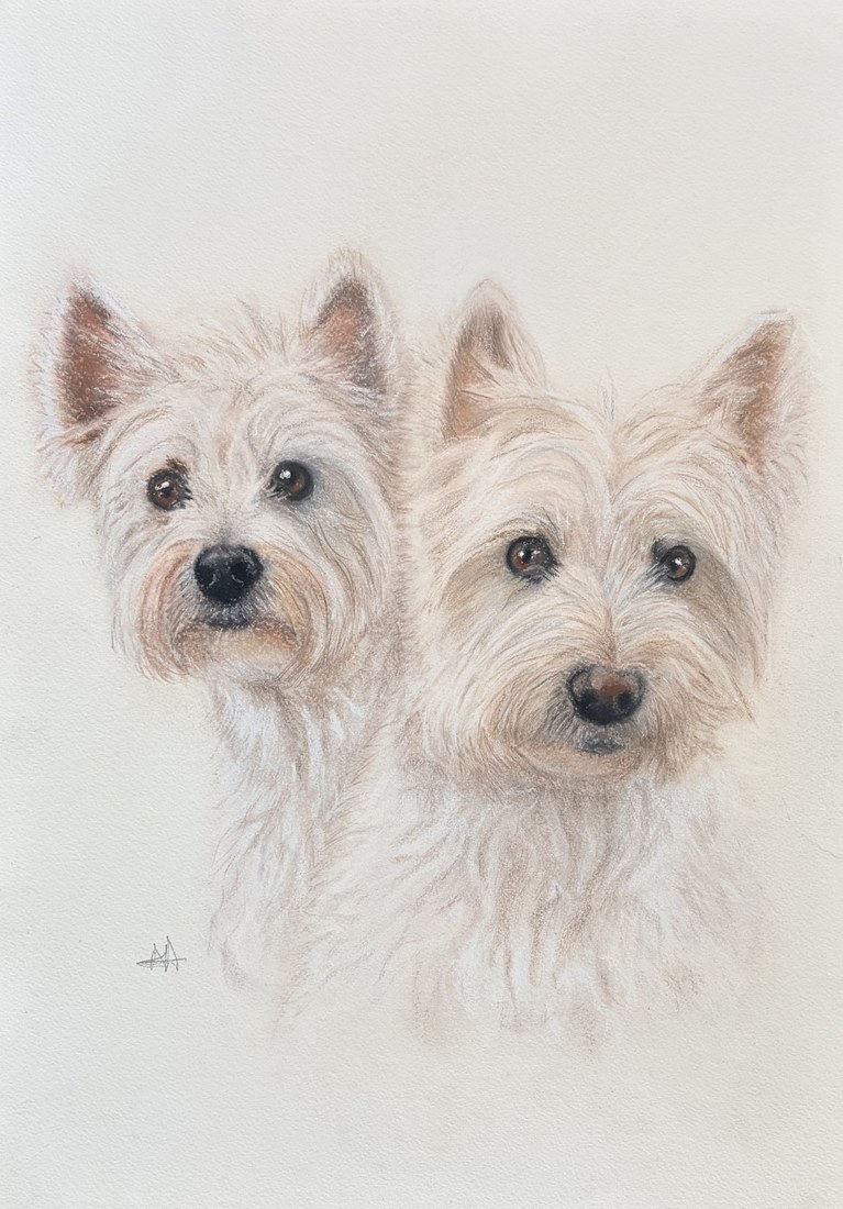 Detailed realistic pastel portrait of two West Highland Terriers