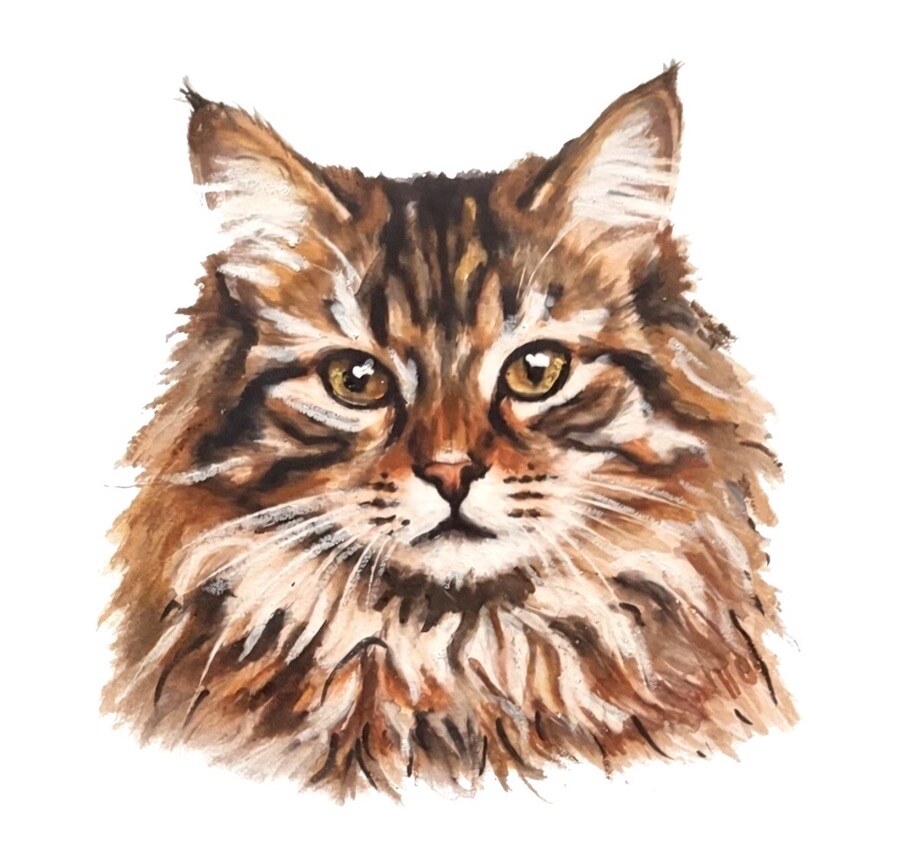Detailed portrait of a fluffy Maine Coon-style cat