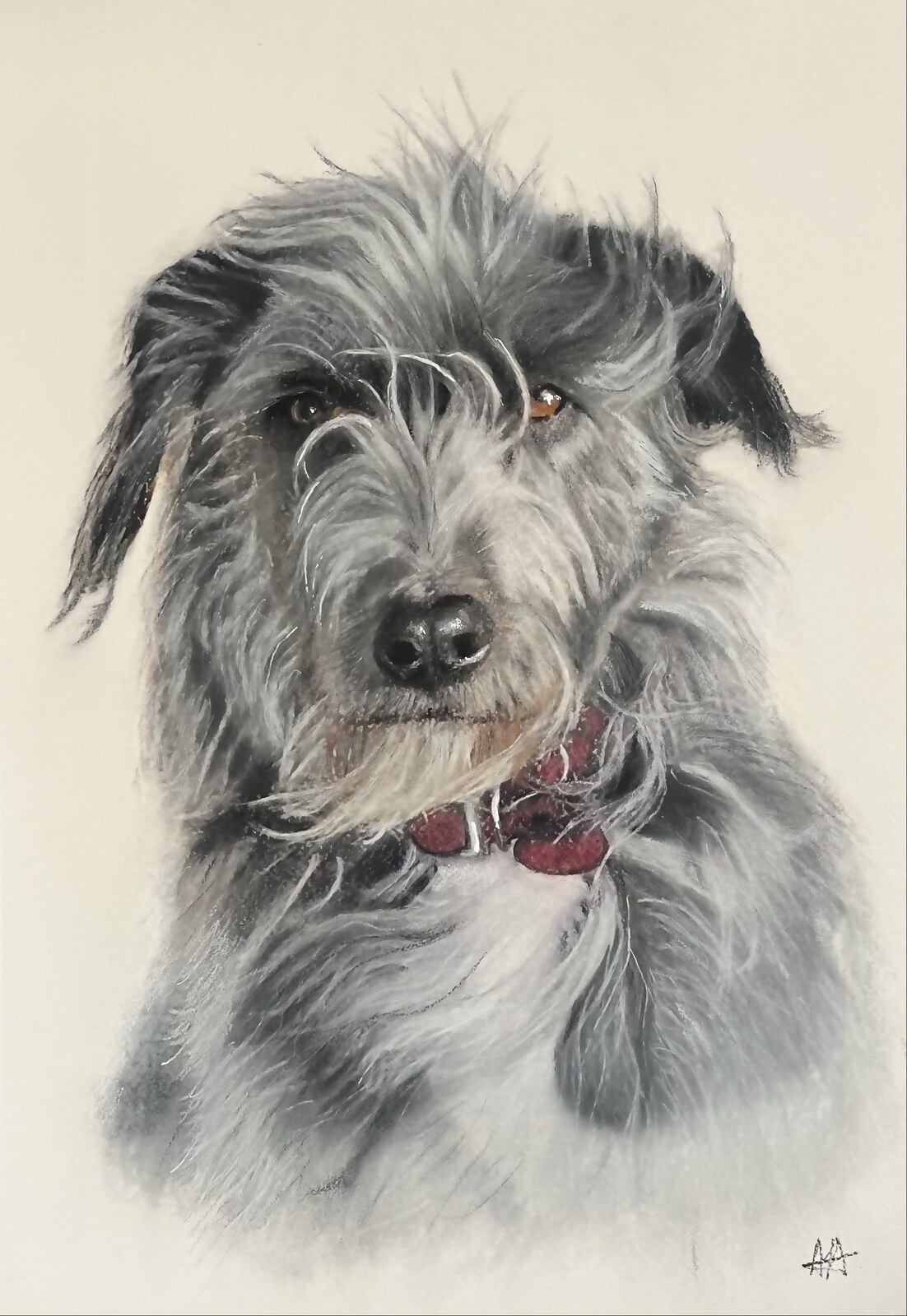 Detailed realistic pastel portrait of a shaggy grey dog